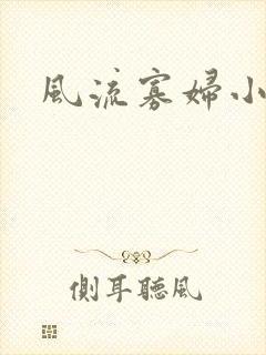 风流寡妇小说封面