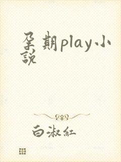 孕期play小说