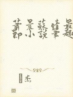 萧晨苏晴最新章节小说笔趣阁