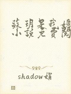 苏玥是我媳妇的小说免费阅读全文