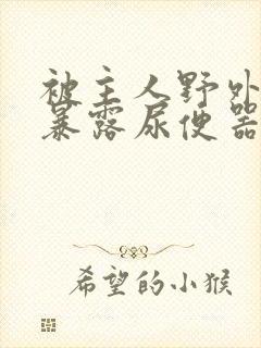 被主人野外调教暴露尿便器