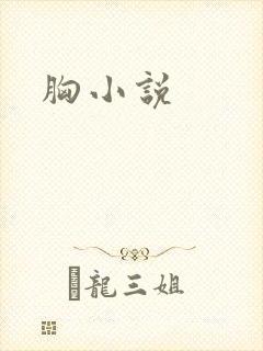 胸小说