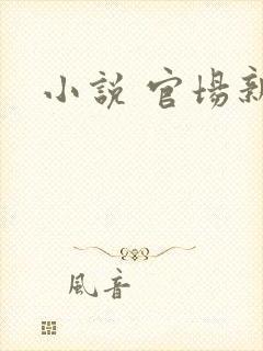 小说 官场新贵
