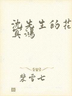 沈先生的花式调冥鸿