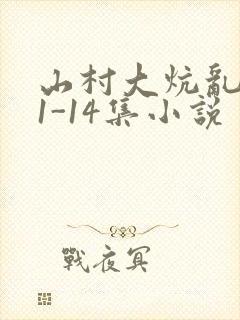 山村大炕乱肉续1-14集小说
