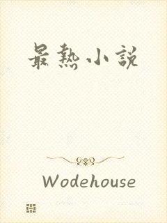 最热小说