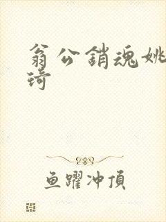 翁公销魂姚瑶琦琦