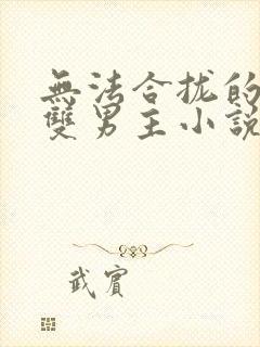 无法合拢的总裁双男主小说