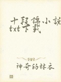 十段锦小说全本txt下载