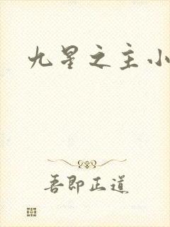 九星之主小说