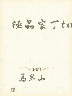 极品家丁txt