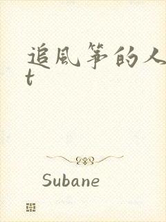 追风筝的人txt