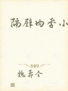 隔壁肉香小说