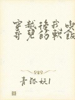 穿越后我吃到了哥儿的软饭炉山灰