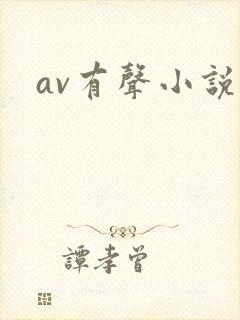 av有声小说