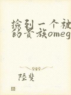 捡到一个被抹布的贵族omega