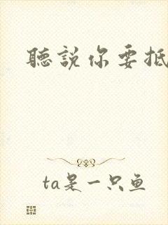 听说你要抵抗我