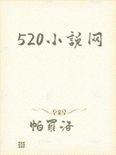 520小说网