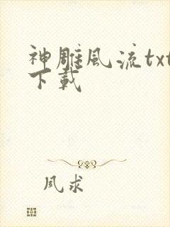 神雕风流txt下载