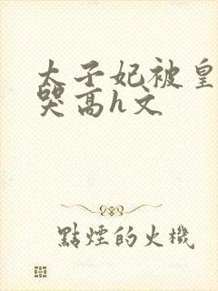 太子妃被皇上c哭高h文