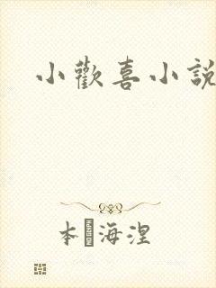 小欢喜小说