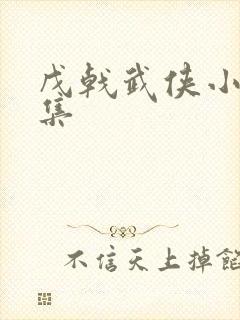 戊戟武侠小说全集