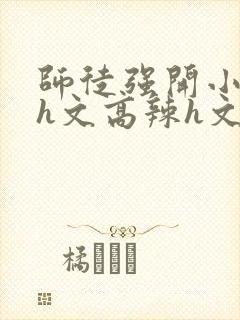 师徒强开小嫩苞h文高辣h文