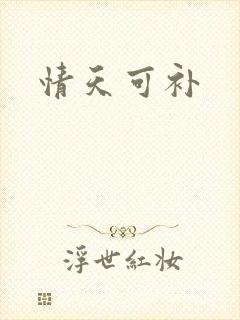 情天可补