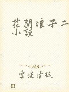 花间浪子二十部小说