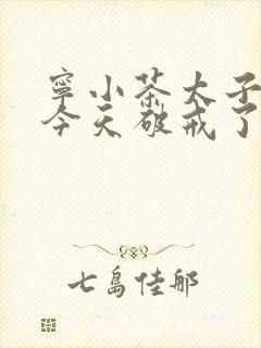 宁小茶太子殿下今天破戒了吗免费阅读