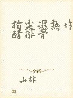 指尖湿热作者糖醋排骨