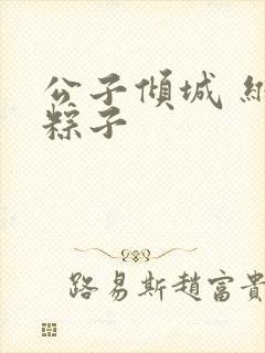 公子倾城 维和粽子