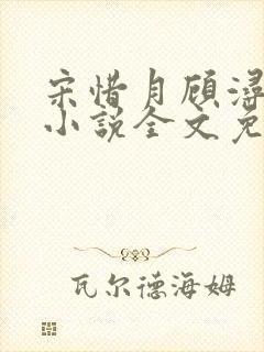 宋惜月顾浔渊的小说全文免费阅读