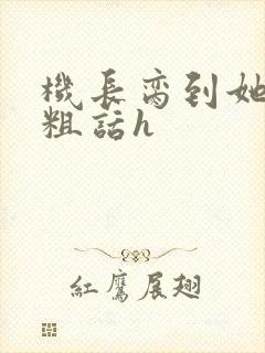 机长脔到她哭h粗话h