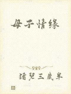 母子情缘