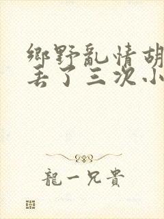 乡野乱情胡秀英丢了三次小说