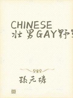 CHINESE壮男GAY野战强迫TUBE