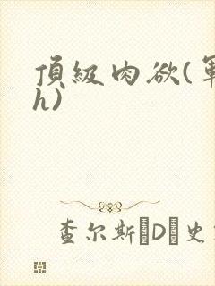 顶级肉欲(军高h)