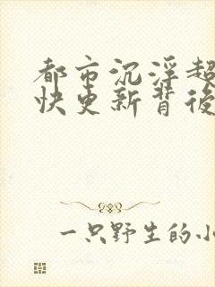 都市沉浮超前超快更新背后原因