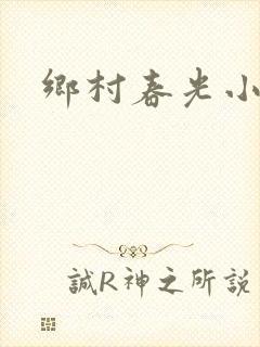乡村春光小说