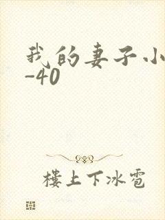 我的妻子小谨1-40