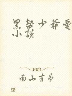 黑帮少爷爱上我小说