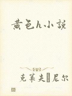 黄色h小说