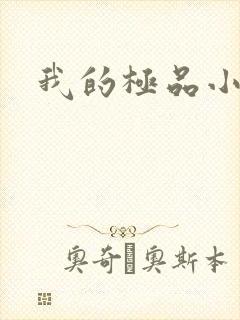 我的极品小姨
