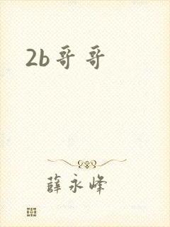 2b哥哥