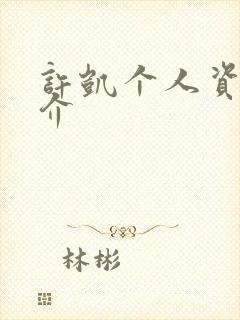 许凯个人资料简介