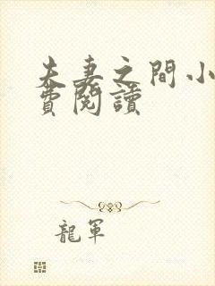 夫妻之间小说免费阅读