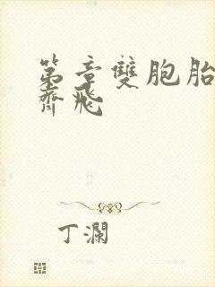 第章双胞胎姐妹齐飞