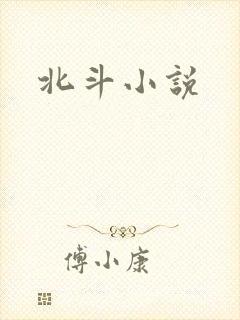 北斗小说
