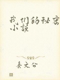 我们的秘密泰剧小说
